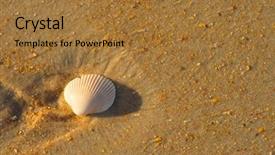  Presentation with sea shell - Colorful PPT theme enhanced with sea shell macro florida ocean backdrop and a gold colored foreground