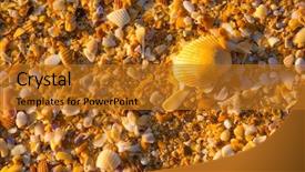  Presentation with mermaid ocean kids - Presentation having sea shell macro florida ocean background and a gold colored foreground