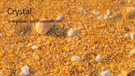  Presentation with sea shell - Audience pleasing presentation theme consisting of sea shell macro florida ocean backdrop and a gold colored foreground