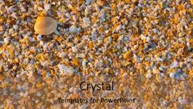  Presentation with sea shell - Beautiful presentation theme featuring sea shell macro florida ocean backdrop and a coral colored foreground