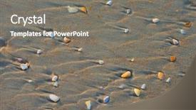  Presentation with sea shell - PPT theme with sea shell macro florida ocean background and a  colored foreground