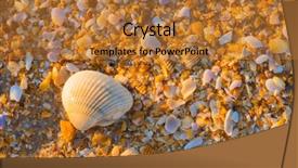  Presentation with save the ocean - Slides featuring sea shell macro florida ocean background and a  colored foreground