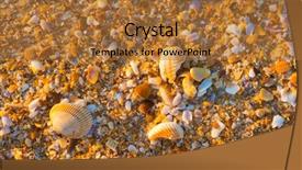  Presentation with florida us1 - Beautiful PPT theme featuring sea shell macro florida ocean backdrop and a red colored foreground