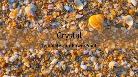  Presentation with sea shell - Slides with sea shell macro florida ocean background and a coral colored foreground
