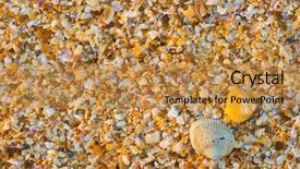  Presentation with sea shell - Colorful theme enhanced with sea shell macro florida ocean backdrop and a gold colored foreground