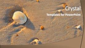  Presentation with sea shell - PPT theme having sea shell macro florida ocean background and a coral colored foreground
