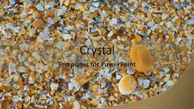  Presentation with sea shell - PPT layouts consisting of sea shell macro florida ocean background and a coral colored foreground