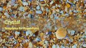  Presentation with sea shell - Beautiful slides featuring sea shell macro florida ocean backdrop and a coral colored foreground