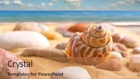  Presentation with sea shell - Beautiful PPT layouts featuring sea shell on the beach backdrop and a coral colored foreground