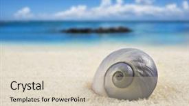  Presentation with sea shell - Presentation theme having sea shell on the beach background and a soft green colored foreground