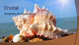  Presentation with sea shell - Amazing theme having sea shell on the coast backdrop and a light blue colored foreground