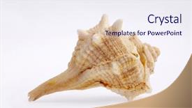  Presentation with sea shell - Presentation design enhanced with mother nature monuments of grey rocks against blue sky background and a gray colored foreground