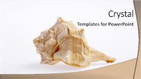  Presentation with sea shell - Slide deck with h2o lab - laboratory is a place where background and a lemonade colored foreground.