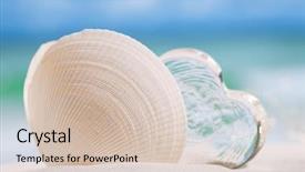  Presentation with sea glass - Amazing slide deck having white sea shell with heart backdrop and a soft green colored foreground