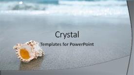 Presentation with sea shell - Beautiful slide deck featuring sea shell with sea wave backdrop and a light blue colored foreground