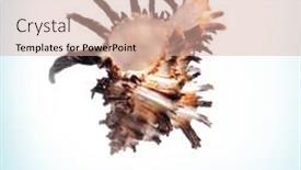  Presentation with sea shell - PPT theme having sea-shell background and a coral colored foreground