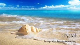  Presentation with sea shells - Slide deck enhanced with sea shells - seashell on the beach shallow background and a lemonade colored foreground