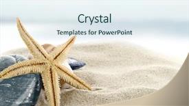  Presentation with sea shells - PPT layouts featuring sea shells - starfish on the beach background and a sky blue colored foreground