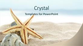  Presentation with starfish - Audience pleasing slide deck consisting of sea shells - starfish on the beach backdrop and a sky blue colored foreground