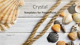  Presentation with sea shells - 