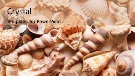  Presentation with sea shells - Audience pleasing slide set consisting of sea shells background backdrop and a coral colored foreground