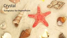  Presentation with sea shells - Amazing PPT layouts having sea shells background backdrop and a lemonade colored foreground