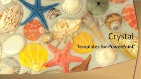  Presentation with sea shells - Slide deck consisting of sea-shells-background background and a yellow colored foreground