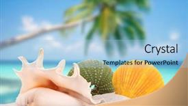  Presentation with sea shells - PPT theme featuring sea shells on a beach background and a light blue colored foreground