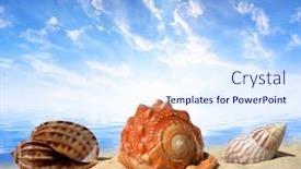  Presentation with sea shells - Audience pleasing PPT theme consisting of sea-shells-on-beach backdrop and a sky blue colored foreground