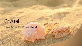  Presentation with sea shells - PPT theme having sea-shells-on-sand-close background and a coral colored foreground