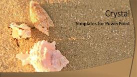  Presentation with sea shells - Colorful slide deck enhanced with sea-shells-on-sand-close backdrop and a coral colored foreground