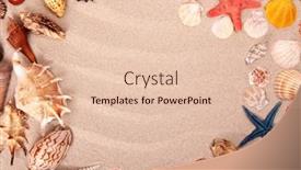  Presentation with sea shells - 