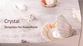  Presentation with sea shells - Colorful slide deck enhanced with sea shells on the beach backdrop and a lemonade colored foreground