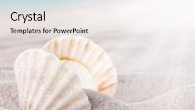  Presentation with sea shells - Audience pleasing presentation design consisting of sea shells on the beach backdrop and a sky blue colored foreground