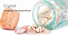  Presentation with sea shells - Audience pleasing PPT layouts consisting of sea shells on white background backdrop and a sky blue colored foreground