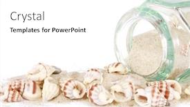  Presentation with sea shells - Theme consisting of sea-shells-on-white background and a white colored foreground
