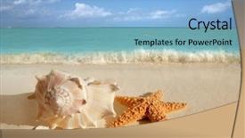  Presentation with sea shells - Slides with sea shells starfish on tropical background and a light blue colored foreground