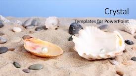  Presentation with sea shells - Amazing PPT theme having sea shells with pearl backdrop and a  colored foreground