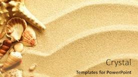  Presentation with sea shells - 