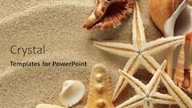  Presentation with sea shells - Audience pleasing slide set consisting of sea shells with sand as background backdrop and a coral colored foreground