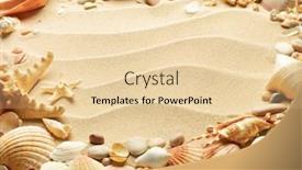  Presentation with sea shells - 