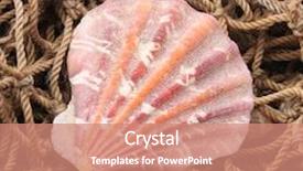  Presentation with sea shells - Colorful PPT theme enhanced with sea shells backdrop and a coral colored foreground