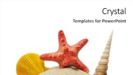  Presentation with sea shells - Slides having sea shells background and a white colored foreground