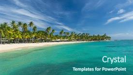  Presentation with palm beach - Presentation theme with ocean shores - coconut palm trees background and a ocean colored foreground