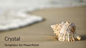  Presentation with sea shell - Audience pleasing theme consisting of sea shells - conch shell on beach backdrop and a coral colored foreground