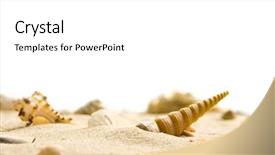  Presentation with seashells museum - Amazing PPT layouts having sea slugs - seashells backdrop and a white colored foreground
