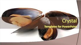  Presentation with brown sugar isolated on white - Beautiful slide deck featuring sea snail - mussels in shell isolated backdrop and a tawny brown colored foreground