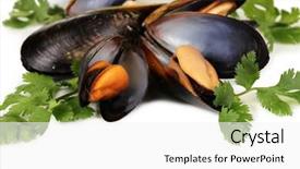  Presentation with sea shell - Beautiful PPT theme featuring sea snail - mussels in shell with fresh backdrop and a white colored foreground