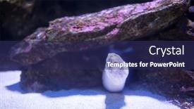  Presentation with tank - 