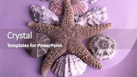  Presentation with awards purple - PPT theme having sea souvenirs on purple background background and a  colored foreground